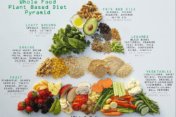 Food Pyramid at Core Results